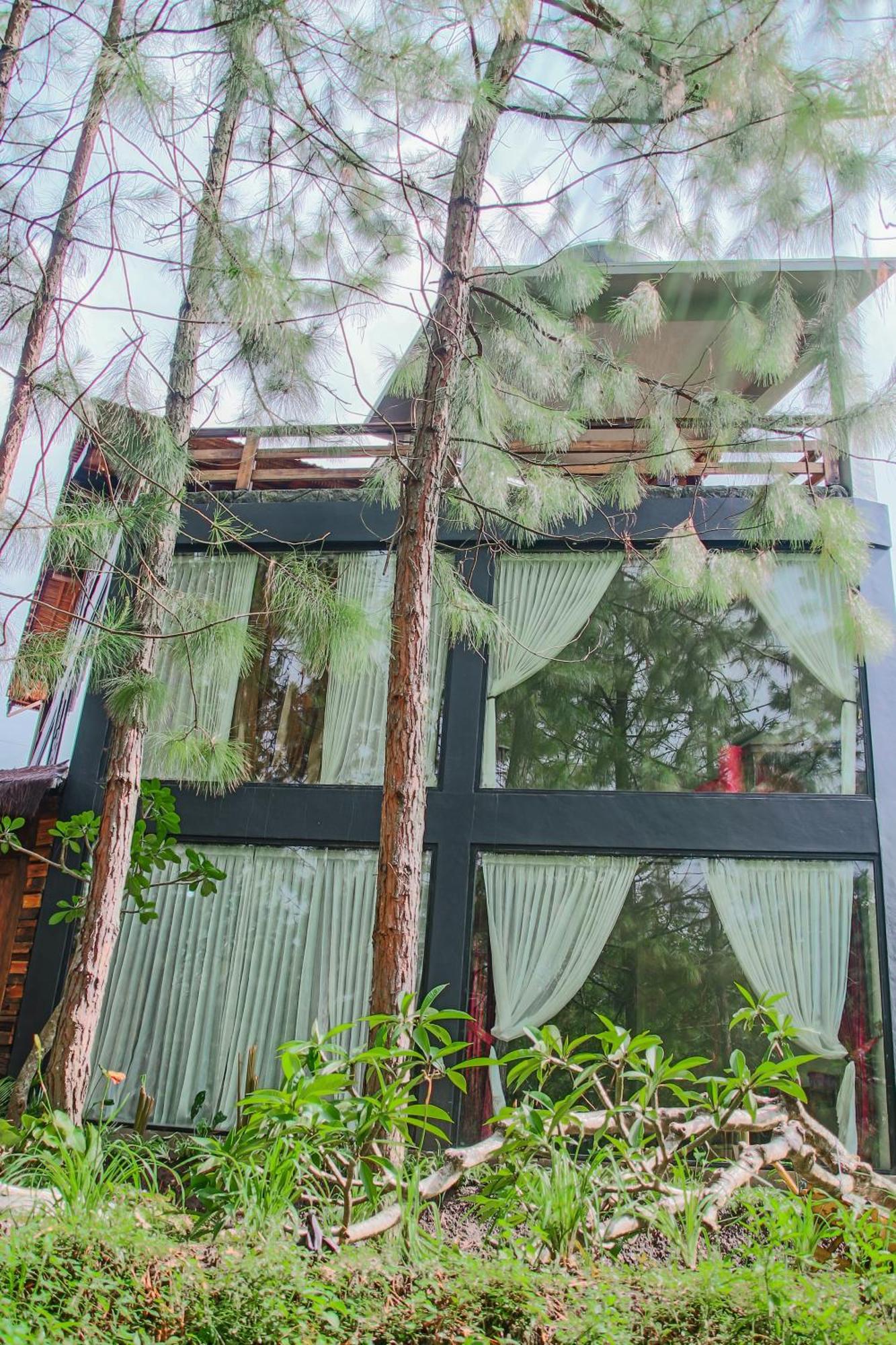 Omah Kayu Bromo Villa Ngadisari Exterior foto