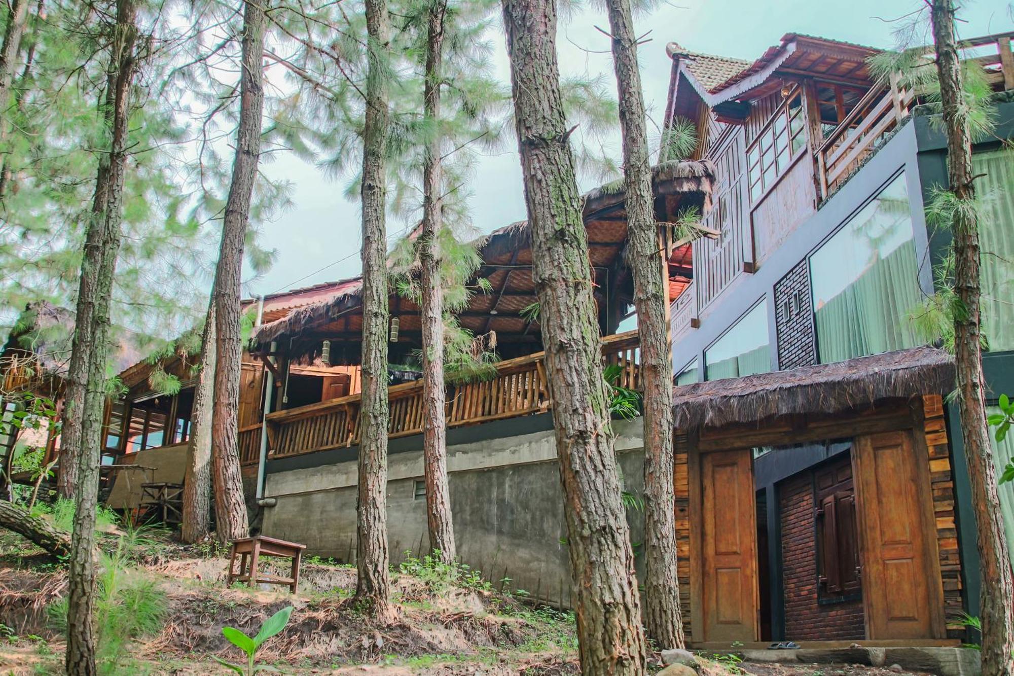 Omah Kayu Bromo Villa Ngadisari Exterior foto